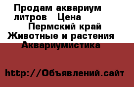 Продам аквариум 100 литров › Цена ­ 4 000 - Пермский край Животные и растения » Аквариумистика   